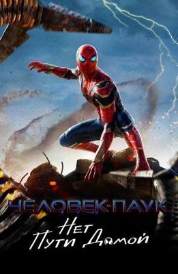 Человек-Паук: Нет пути домой / Spider-Man: No Way Home () смотреть онлайн бесплатно в отличном качестве
