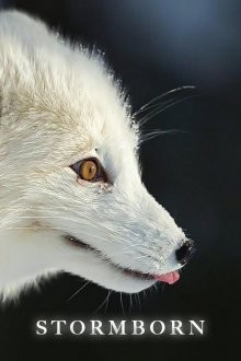 Рожденные бурей / Stormborn () смотреть онлайн бесплатно в отличном качестве