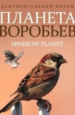 Планета воробьев / Sparrow Planet () смотреть онлайн бесплатно в отличном качестве