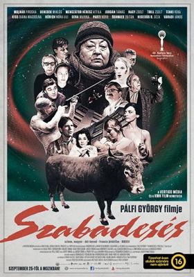 Свободное падение / Szabadesés () смотреть онлайн бесплатно в отличном качестве