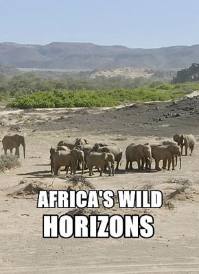 Дикие просторы Африки / Africa's Wild Horizons () смотреть онлайн бесплатно в отличном качестве