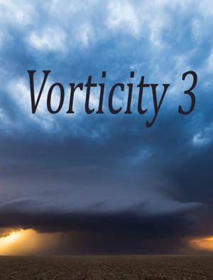 Завихренность 3 / Vorticity 3 () смотреть онлайн бесплатно в отличном качестве