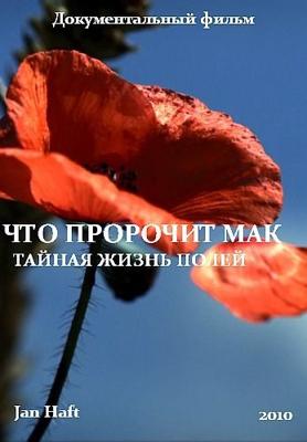 Что пророчит мак. Тайная жизнь полей / Poppy's Promise. Secret Life in a Cornfield () смотреть онлайн бесплатно в отличном качестве