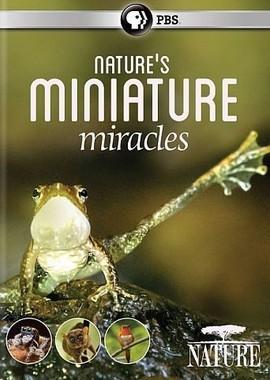 Миниатюрные чудеса / Nature's Miniature Miracles (2017) смотреть онлайн бесплатно в отличном качестве