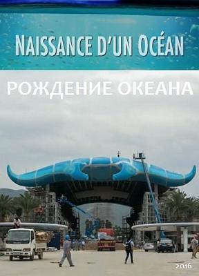 Рождение океана / Naissance d'un Océan () смотреть онлайн бесплатно в отличном качестве