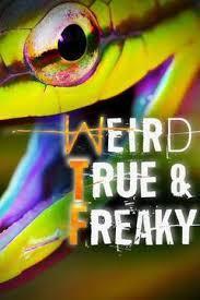 Жуткие, настоящие и странные / Weird, True & Freaky (2008) смотреть онлайн бесплатно в отличном качестве