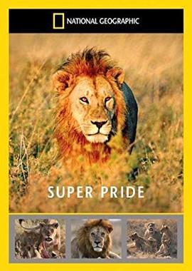 Рождение прайда / Birth of a Pride (2018) смотреть онлайн бесплатно в отличном качестве