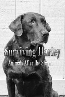 Спасение животных: ураган Харви / Surviving Harley. Animals After the Storm (2017) смотреть онлайн бесплатно в отличном качестве