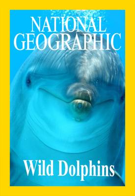 Дикие дельфины / Wild Dolphins (2017) смотреть онлайн бесплатно в отличном качестве