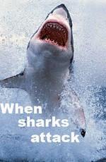 Когда акулы нападают / When sharks attack (2017) смотреть онлайн бесплатно в отличном качестве