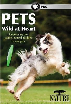 Питомцы - дикие в душе / Pets: Wild at Heart () смотреть онлайн бесплатно в отличном качестве