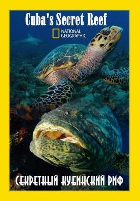Секретный кубинский риф / Cuba's Secret Reef () смотреть онлайн бесплатно в отличном качестве