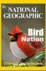 Птичья популяция / Bird Nation (2018) смотреть онлайн бесплатно в отличном качестве