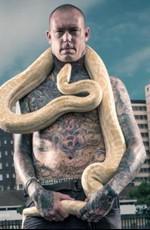 Змеи в городе / Snake City () смотреть онлайн бесплатно в отличном качестве