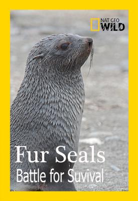 Морские котики: битва за выживание / Fur Seals. Battle for Suvival () смотреть онлайн бесплатно в отличном качестве