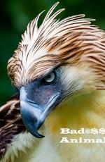 Животные-хулиганы / Badass Animals () смотреть онлайн бесплатно в отличном качестве