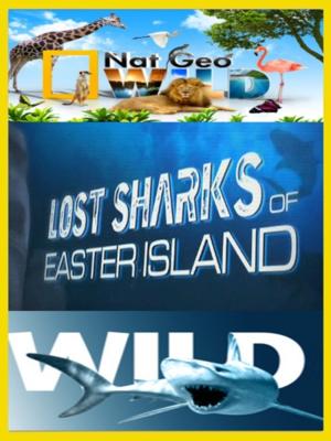 Потерянные акулы острова Пасхи / Lost sharks of easter island (2011) смотреть онлайн бесплатно в отличном качестве
