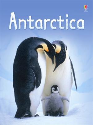 Дикая Антарктида / Wild Antarctica () смотреть онлайн бесплатно в отличном качестве