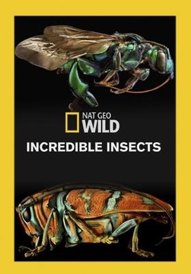 Удивительные насекомые / Incredible Insects () смотреть онлайн бесплатно в отличном качестве