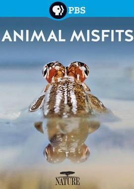 Ошибки природы / Animal Misfits () смотреть онлайн бесплатно в отличном качестве