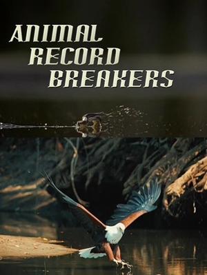 Рекордсмены из мира животных / Animal Record Breakers () смотреть онлайн бесплатно в отличном качестве