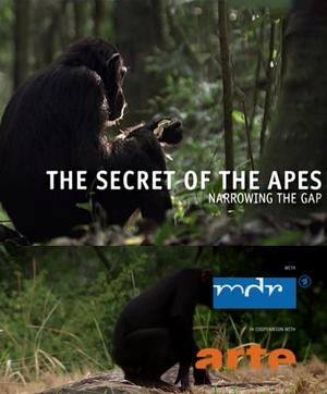 Секреты обезьян. Сокращая разрыв / The Secret of the Apes - Narrowing the GAP () смотреть онлайн бесплатно в отличном качестве