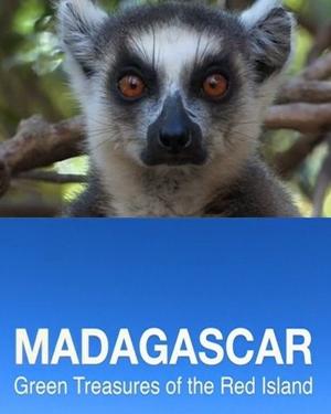 Мадагаскар. Зеленые сокровища Красного острова / Madagascar. Green Treasure of the Red island () смотреть онлайн бесплатно в отличном качестве
