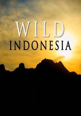 Дикая природа Индонезии / Wild Indonesia () смотреть онлайн бесплатно в отличном качестве