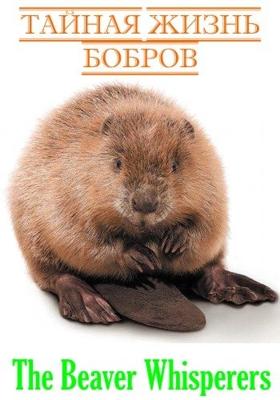 Тайная жизнь бобров / The Beaver Whisperers () смотреть онлайн бесплатно в отличном качестве