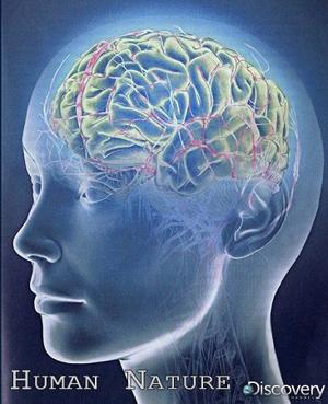Природа человека / Human Nature () смотреть онлайн бесплатно в отличном качестве