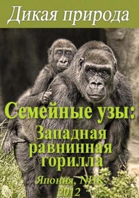 Дикая природа. Семейные узы: Западная равнинная горилла / Wild Life. Family Ties: Western Lowland Gorilla () смотреть онлайн бесплатно в отличном качестве