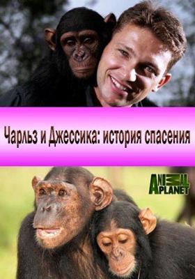 Чарльз и Джессика - история спасения / Charles and Jessica. A Chimp Tale () смотреть онлайн бесплатно в отличном качестве