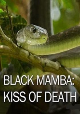 Черная мамба: поцелуй смерти / Black Mamba: kiss of death () смотреть онлайн бесплатно в отличном качестве