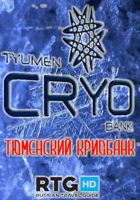Тюменский криобанк. Холод на службе науки /  () смотреть онлайн бесплатно в отличном качестве