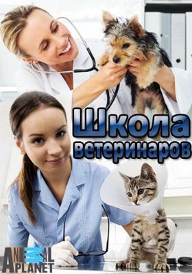 Школа ветеринаров / Safari Vet School () смотреть онлайн бесплатно в отличном качестве