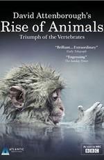 История животного мира с Дэвидом Аттенборо / Rise of Animals: Triumph of the Vertebrates () смотреть онлайн бесплатно в отличном качестве