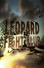 Бойцовский клуб для леопарда / Leopard Fight Club () смотреть онлайн бесплатно в отличном качестве