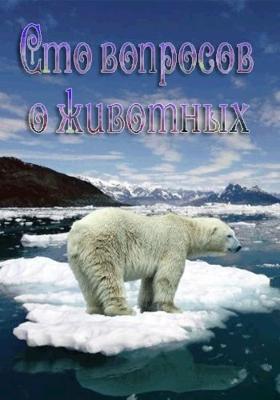 Сто вопросов о животных / Animal science () смотреть онлайн бесплатно в отличном качестве