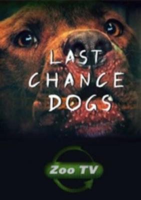 Осторожно, злая собака! / Last Chance Dogs () смотреть онлайн бесплатно в отличном качестве