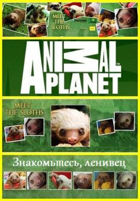 Знакомство с ленивцами / Meet the Sloths () смотреть онлайн бесплатно в отличном качестве