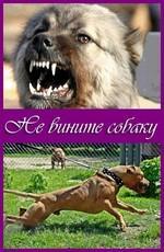 Не вините собаку / Don't Blame the Dog () смотреть онлайн бесплатно в отличном качестве