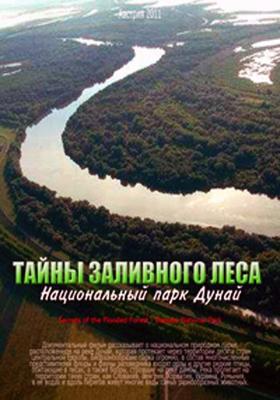 Тайны заливного леса – национальный парк Дунай / Secrets of the Flooded Forest - Danube National Park () смотреть онлайн бесплатно в отличном качестве