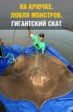 На крючке: Ловля монстров. Гигантский скат / National Geografic: Monster Fish. Giant Stingra (2009) смотреть онлайн бесплатно в отличном качестве