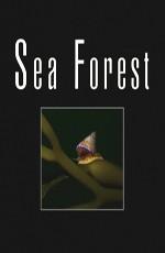 Морской лес / Sea Forest (2005) смотреть онлайн бесплатно в отличном качестве