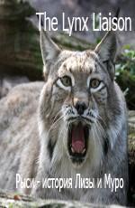 Рыси - история Лизы и Муро / The Lynx Liaison () смотреть онлайн бесплатно в отличном качестве