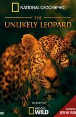 National Geographic: Необычный леопард / National Geographic: The Unlikely Leopard () смотреть онлайн бесплатно в отличном качестве