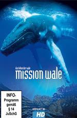 Миссия к китам / Whale Mission Series (2005) смотреть онлайн бесплатно в отличном качестве