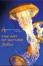 Искусство природы: медузы / The Art of Nature: Jellies (2007) смотреть онлайн бесплатно в отличном качестве