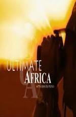 Африка крупным планом / Ultimate Africa (2008) смотреть онлайн бесплатно в отличном качестве