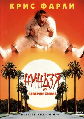Ниндзя из Беверли Хиллз / Beverly Hills Ninja () смотреть онлайн бесплатно в отличном качестве